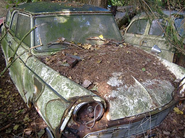Autofriedhof - 081.JPG - Historischer Autofriedhof,    Gürbetal (CH)